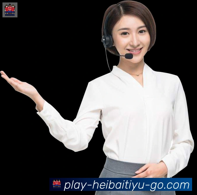 互动解说服务